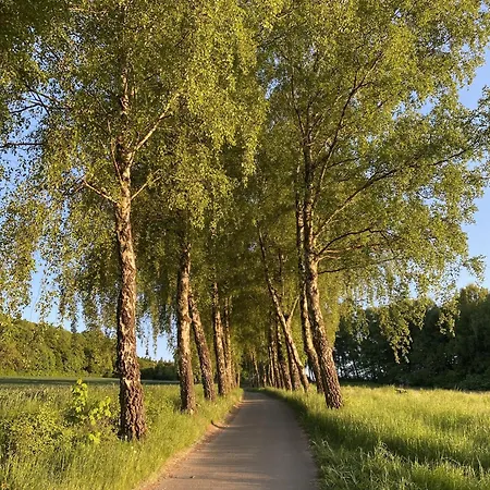 Haus 5 - Urlaub Mit Kindern Nahe Natur, Erlebnissen Und Familienfreundlichen Aktivitaeten *